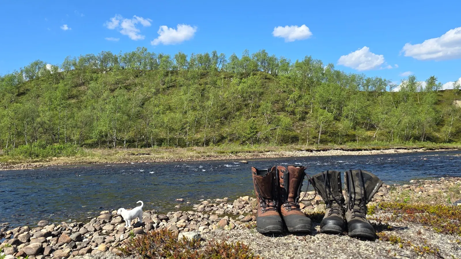 Susa the dog and two pairs of hiking boots beside a river